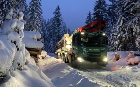 Rundholztransport im Winter