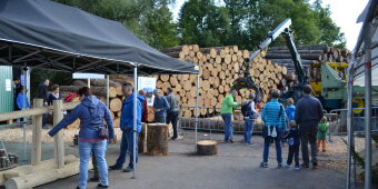 Rückblick Woodvetia 